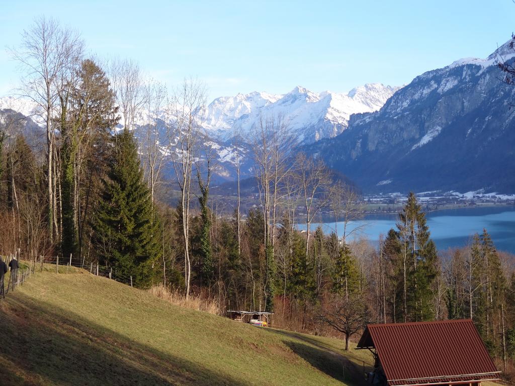 Seeli Hofstetten bei Brienz Rom bilde